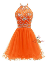 Black Tulle Halter Backless Homecoming Dress