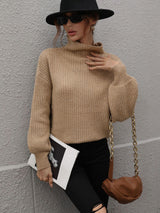 Solid Color Pullover Loose Turtle Neck Sweater