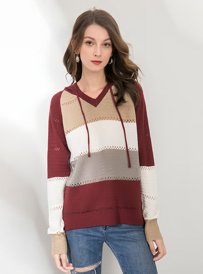 Hooded Long Sleeve Autumn and Winter Sweater