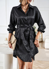 Women Long Sleeve Shirt Dress