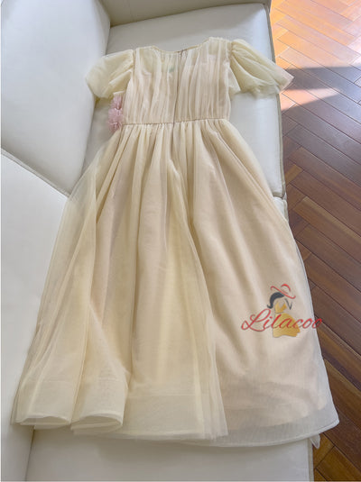 Fashion Round Neck Gauze Pleats Dress