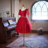 Burgundy Tulle Sequins Homecoming Dress