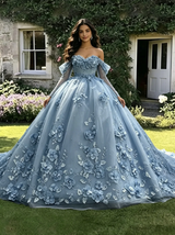 Blue Tulle 3D Appliques Long Sleeve Quinceanera Dress