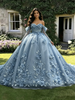 Blue Tulle 3D Appliques Long Sleeve Quinceanera Dress