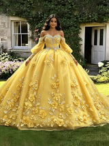 Yellow Tulle 3D Appliques Long Sleeve Quinceanera Dress