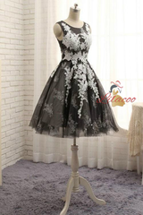 Tulle Lace Appliques Homecoming Dress