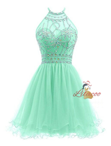 Black Tulle Halter Backless Homecoming Dress