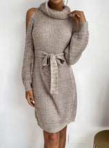 Openwork Turtle Neck Sweater Dress