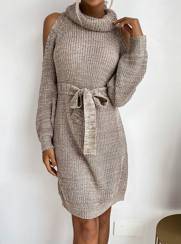 Openwork Turtle Neck Sweater Dress