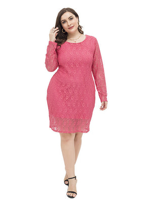Fashion Long Sleeve Lace Slim Hip Dress