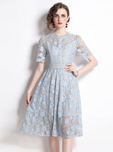 Short Sleeve Round Neck Slim Lace Dress