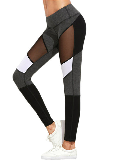 Workout Pants New Arrival Mesh Insert Leggings