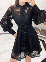 Runway Dress Hollow Lantern Sleeves Embroidered Lace Dress