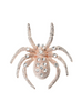 Spider Brooch enamel pins scarf Dress Accessories