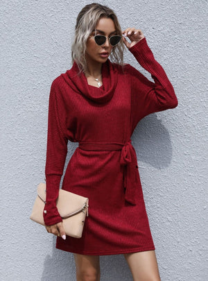 Pile-collar Long Sleeve Sweater Dress
