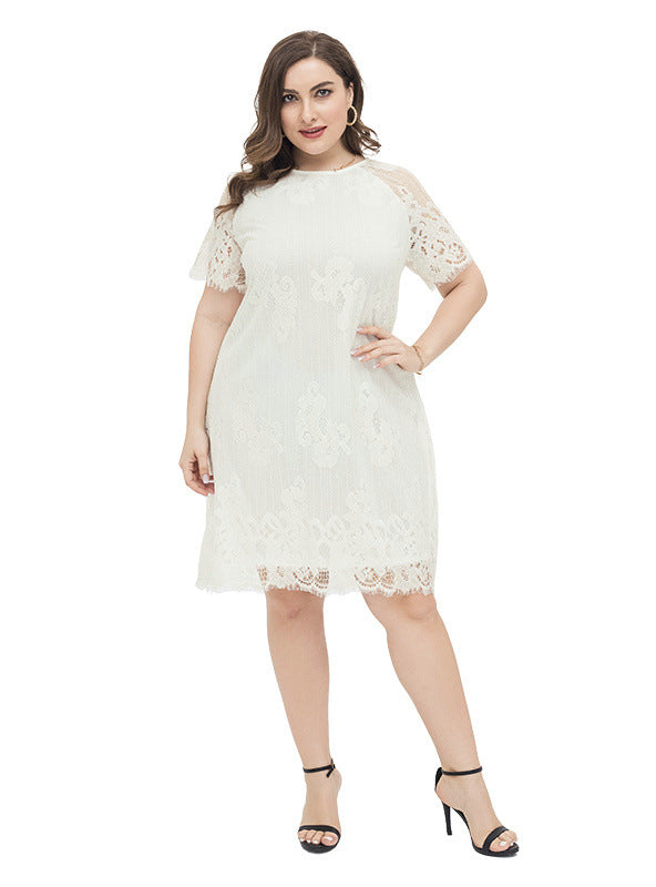 White Sheath Lace Short Sleeve Party Dress