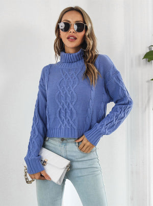 Twist Turtleneck Long Sleeve Short Sweater