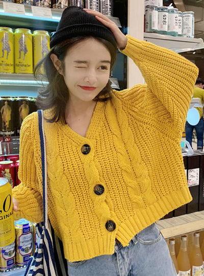 Button Long Sleeve Fashion Woman Small Sweaters