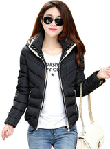 Short Coats Solid Hooded Down Cotton Padded