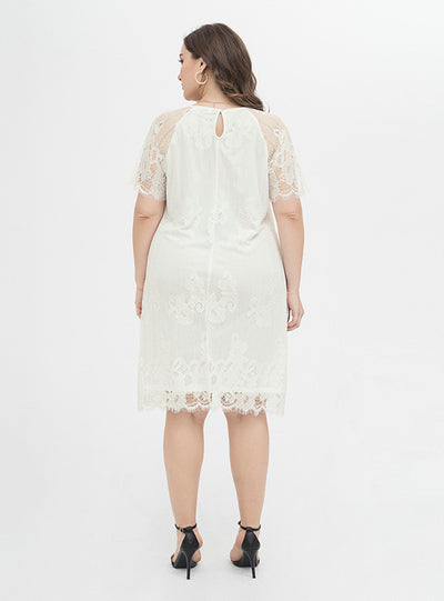 White Sheath Lace Short Sleeve Party Dress