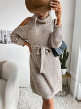 Openwork Turtle Neck Sweater Dress