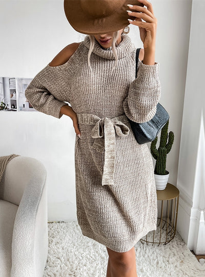 Openwork Turtle Neck Sweater Dress