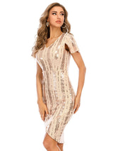 Casual Retro Commuter Sequined Dress