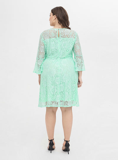 Elegant Loose Casual Long Sleeve Lace Dress