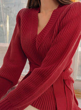 Women's Sweaters V-Neck Minimalist Lace Up 