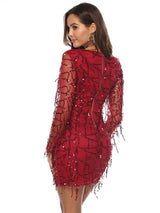 Sexy Gauze Long Sleeve Fringed Sequined Dress