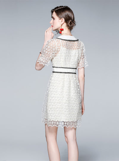 Lapel Daisy Embroidered Hollow Dress