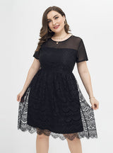 Large Size Lace Round Neck Dress