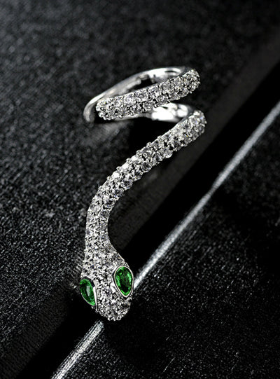 Snakehead 925 Sterling Silver Needle Zircon Earrings 