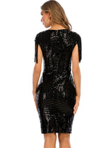 Sexy Retro Fringed Sequined Dress