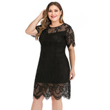 Ladies' Large Size Lace Short Dress