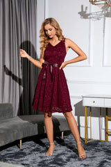 Sexy V-neck Sleeveless Lace Dress