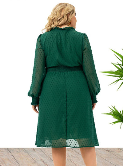 Large Size Women's Long Sleeve Chiffon Dress