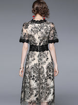 Embroidered Lace Mesh Ruffled Waist Dress
