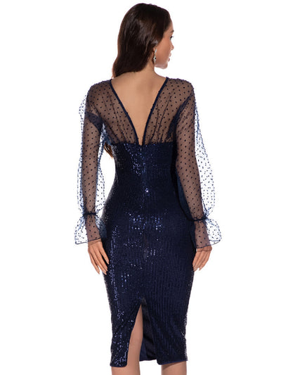 Sexy Retro Mesh Long Sleeve Sequined Dress