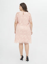 White Sheath Lace Short Sleeve Party Dress