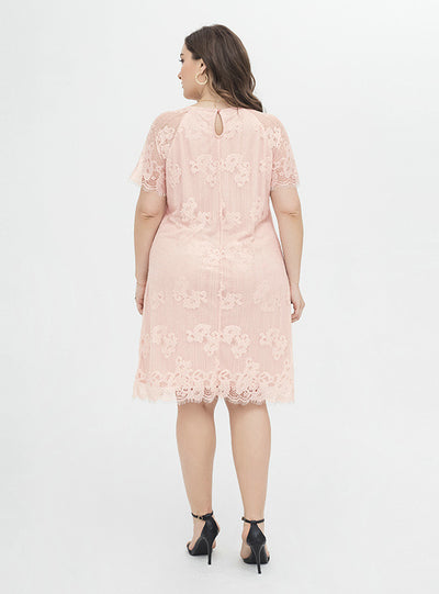 White Sheath Lace Short Sleeve Party Dress