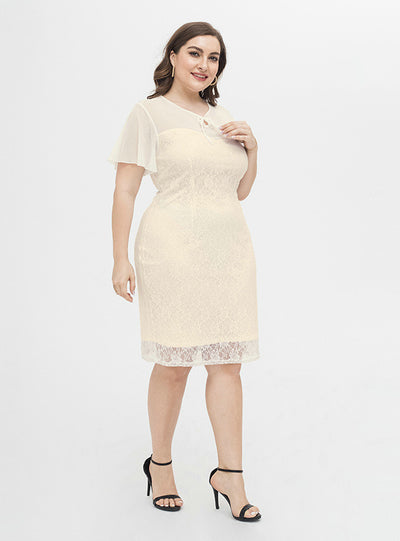 Sexy Lace Short Sleeve Knee Length Dress