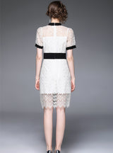 Short Sleeve Lapel Slim Lace Dress