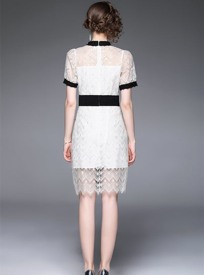 Short Sleeve Lapel Slim Lace Dress