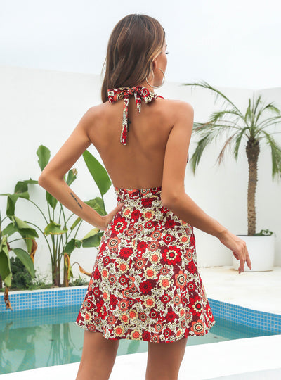 Neck V-neck Chiffon Beach Dress