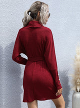 Pile-collar Long Sleeve Sweater Dress