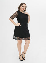 Ladies Elegant Lace Short Sleeve Dress