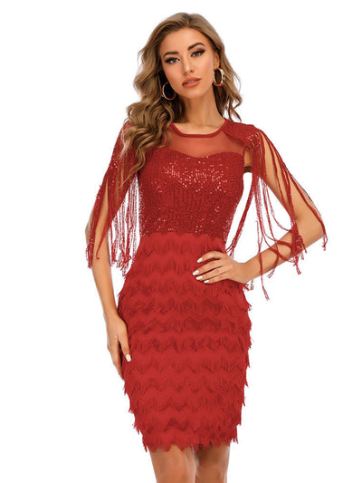 Sexy Fringed Sequined Dress