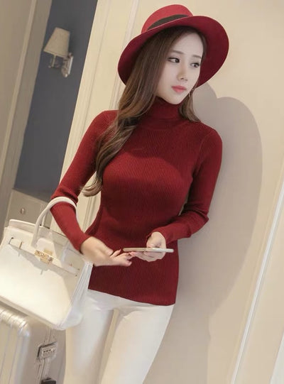Women Turtleneck Sweaters Slim Pullover Casual Soft Knit Sweater