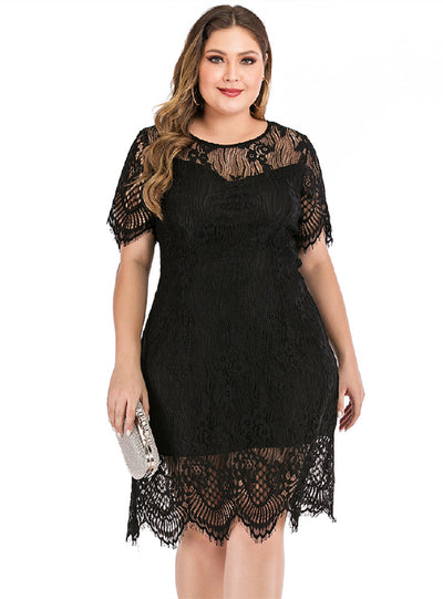 Ladies' Large Size Lace Short Dress